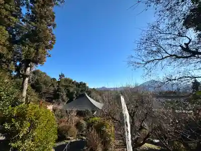 岩之上堂(埼玉県)