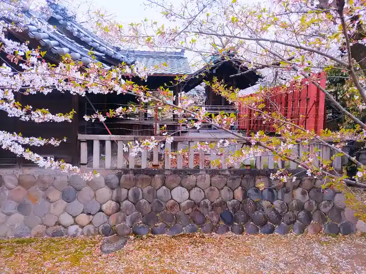 神明社(馬引)の自然