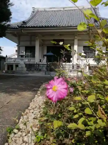 円光院の本殿・本堂