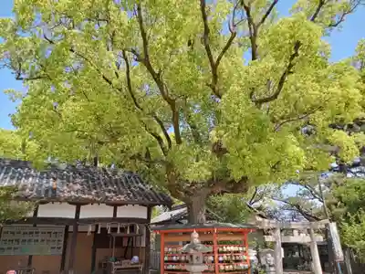 柴籬神社(大阪府)