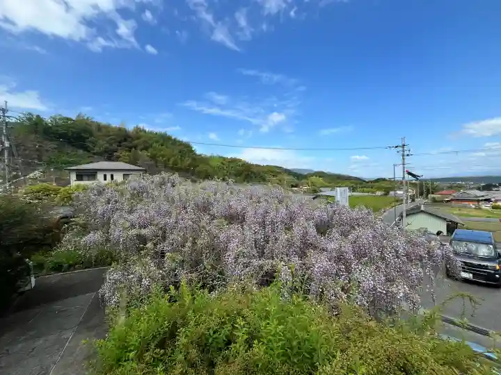 子安地蔵寺の{uncategorized: "未分類", other: "その他", undefined: "問題あり", building: "その他建物", grave: "お墓", sacred_gate: "鳥居", guardian: "狛犬", statue: "像", buddha: "仏像", history: "歴史", nature: "自然", garden: "庭園", animal: "動物", pagoda: "塔", temizu: "手水舎", mountain_gate: "山門・神門", sanctuary: "本殿・本堂", subordinate: "末社・摂社", art: "芸術", scenery: "景色", jizo: "地蔵", ema: "絵馬", goshuin: "御朱印", omikuji: "おみくじ", items: "授与品その他", amulet: "お守り", goshuincho: "御朱印帳", eats: "食事", festival: "お祭り", votive_dance: "神楽", shichigosan: "七五三参", wedding: "結婚式", experience: "体験その他", initially: "初詣", around: "周辺", anti_infection: "感染症対策"}