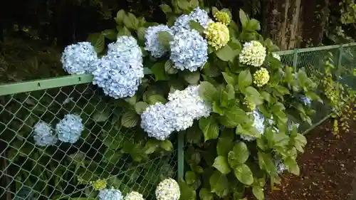 天神社の自然