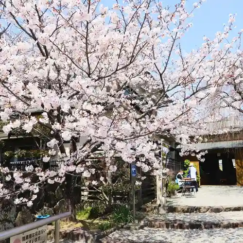 温泉山 安楽寺(四国霊場第六番札所)の自然