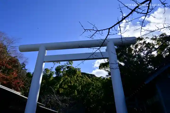安房神社(千葉県)
