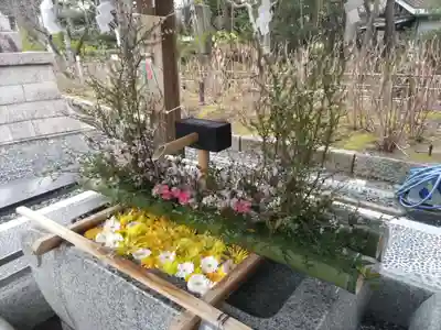 白山神社(新潟県)