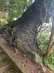 天満神社(福島県)