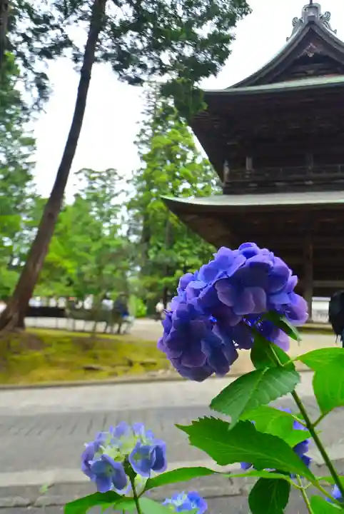 円覚寺(神奈川県)
