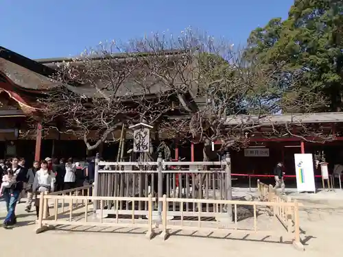 太宰府天満宮の自然