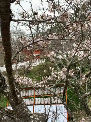金剛宝寺（紀三井寺）の自然