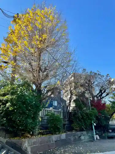 白鬚神社(東京都)