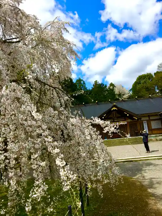 足羽神社の庭園