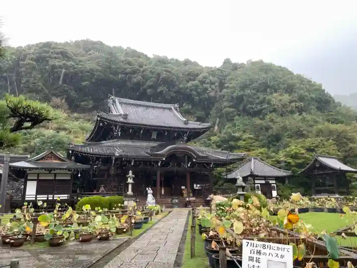 三室戸寺(京都府)