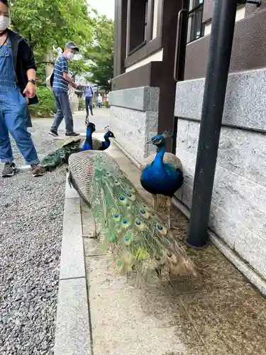 楽法寺（雨引観音）(茨城県)