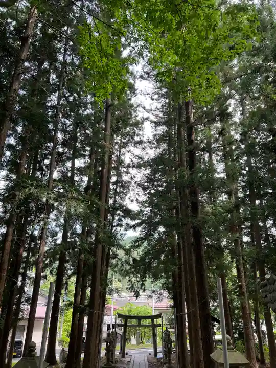 洩矢神社(長野県)