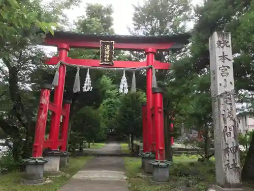 北東本宮小室浅間神社(山梨県)