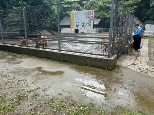 鹿島神宮(茨城県)