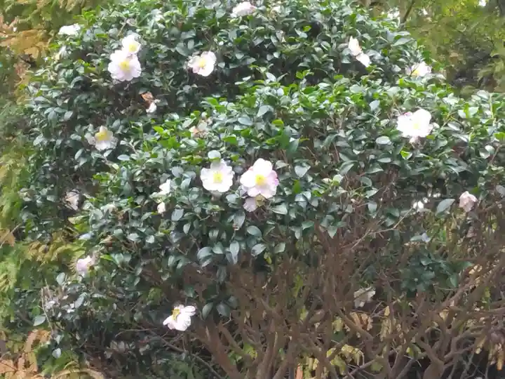神武寺(神奈川県)