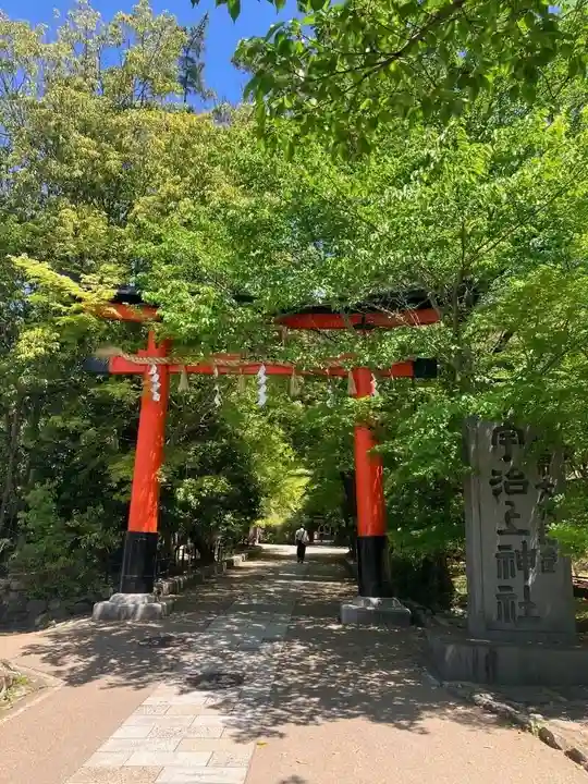 宇治上神社の鳥居