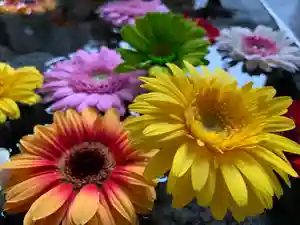 滑川神社 - 仕事と子どもの守り神(福島県)(2022年04月04日(月) 11時07分30秒投稿)