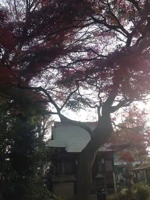 長泉寺の建物その他