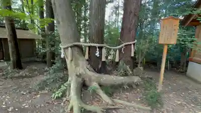 宇那禰神社(宮城県)