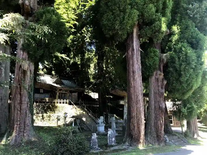 早楢神社の自然