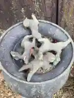 真楽寺(兵庫県)