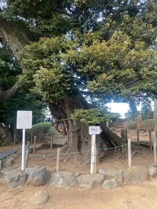 九重神社の{uncategorized: "未分類", other: "その他", undefined: "問題あり", building: "その他建物", grave: "お墓", sacred_gate: "鳥居", guardian: "狛犬", statue: "像", buddha: "仏像", history: "歴史", nature: "自然", garden: "庭園", animal: "動物", pagoda: "塔", temizu: "手水舎", mountain_gate: "山門・神門", sanctuary: "本殿・本堂", subordinate: "末社・摂社", art: "芸術", scenery: "景色", jizo: "地蔵", ema: "絵馬", goshuin: "御朱印", omikuji: "おみくじ", items: "授与品その他", amulet: "お守り", goshuincho: "御朱印帳", eats: "食事", festival: "お祭り", votive_dance: "神楽", shichigosan: "七五三参", wedding: "結婚式", experience: "体験その他", initially: "初詣", around: "周辺", anti_infection: "感染症対策"}