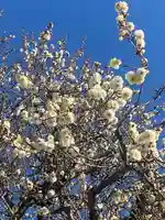 大恩寺(愛知県)