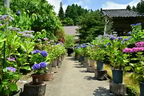 光照寺(新潟県)