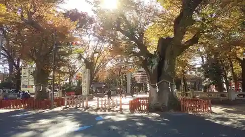 大國魂神社(東京都)