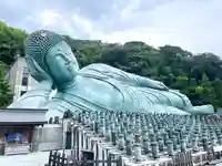 南蔵院(福岡県)