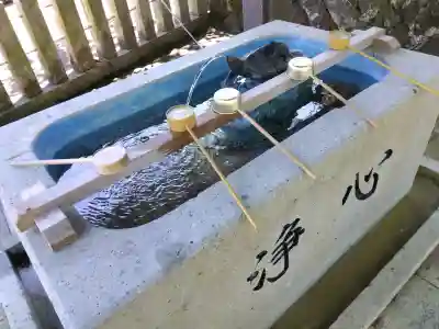 熊野神社の{uncategorized: "未分類", other: "その他", undefined: "問題あり", building: "その他建物", grave: "お墓", sacred_gate: "鳥居", guardian: "狛犬", statue: "像", buddha: "仏像", history: "歴史", nature: "自然", garden: "庭園", animal: "動物", pagoda: "塔", temizu: "手水舎", mountain_gate: "山門・神門", sanctuary: "本殿・本堂", subordinate: "末社・摂社", art: "芸術", scenery: "景色", jizo: "地蔵", ema: "絵馬", goshuin: "御朱印", omikuji: "おみくじ", items: "授与品その他", amulet: "お守り", goshuincho: "御朱印帳", eats: "食事", festival: "お祭り", votive_dance: "神楽", shichigosan: "七五三参", wedding: "結婚式", experience: "体験その他", initially: "初詣", around: "周辺", anti_infection: "感染症対策"}