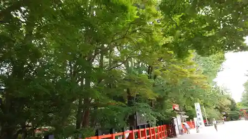 賀茂別雷神社（上賀茂神社）のその他建物
