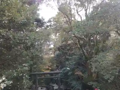 金刀比羅宮(香川県)