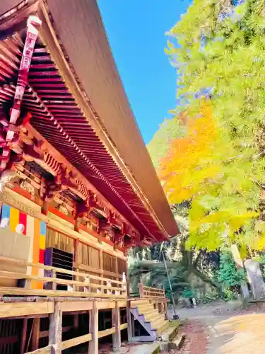 西明寺の{uncategorized: "未分類", other: "その他", undefined: "問題あり", building: "その他建物", grave: "お墓", sacred_gate: "鳥居", guardian: "狛犬", statue: "像", buddha: "仏像", history: "歴史", nature: "自然", garden: "庭園", animal: "動物", pagoda: "塔", temizu: "手水舎", mountain_gate: "山門・神門", sanctuary: "本殿・本堂", subordinate: "末社・摂社", art: "芸術", scenery: "景色", jizo: "地蔵", ema: "絵馬", goshuin: "御朱印", omikuji: "おみくじ", items: "授与品その他", amulet: "お守り", goshuincho: "御朱印帳", eats: "食事", festival: "お祭り", votive_dance: "神楽", shichigosan: "七五三参", wedding: "結婚式", experience: "体験その他", initially: "初詣", around: "周辺", anti_infection: "感染症対策"}