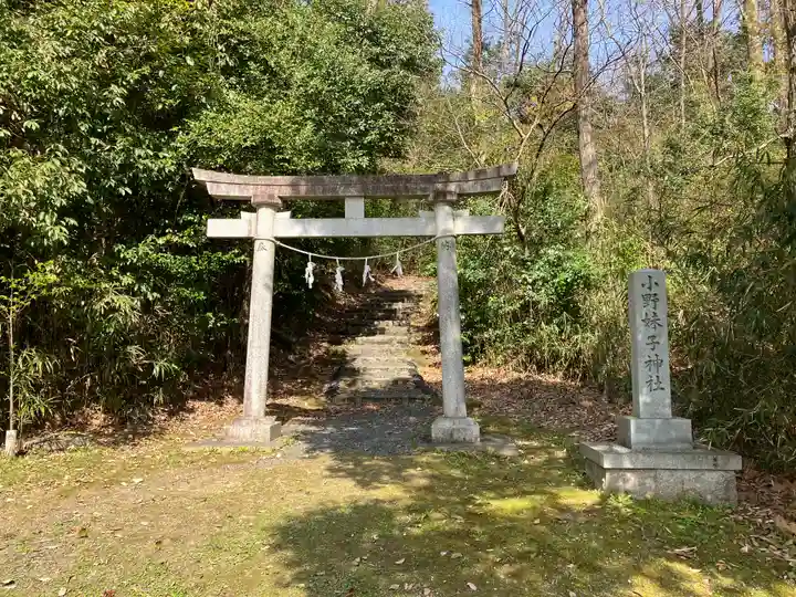 小野妹子神社の鳥居