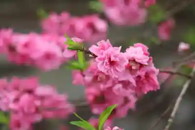 多賀神社(福岡県)