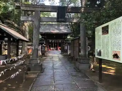 赤坂氷川神社の鳥居