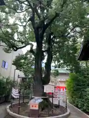 溝口神社の建物その他