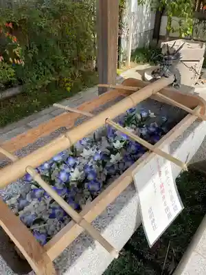 晴明神社(京都府)