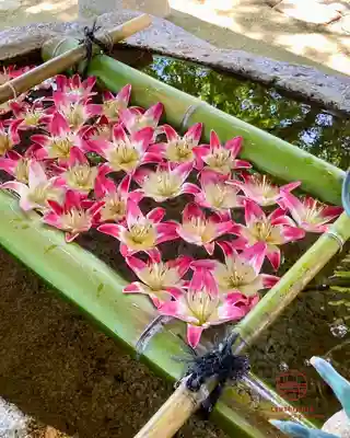 立志神社(滋賀県)