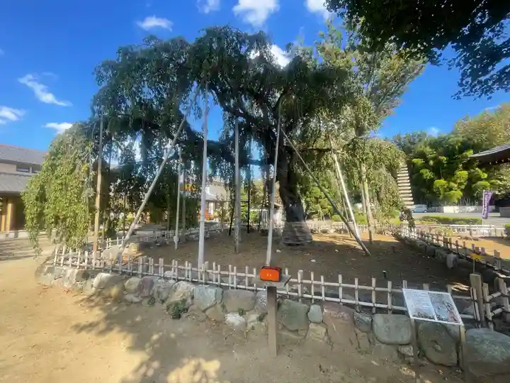 清瀧院(千葉県)