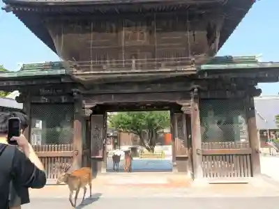 大願寺(広島県)