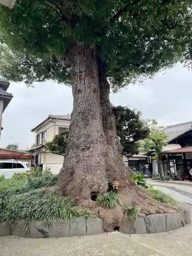 観音寺(東京都)