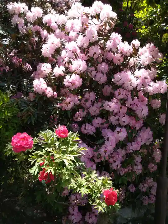 岡寺(龍蓋寺)(奈良県)