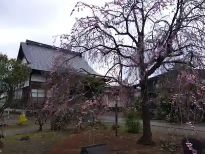 称念寺(新潟県)