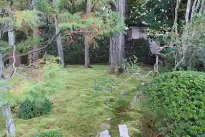 明暗寺(京都府)