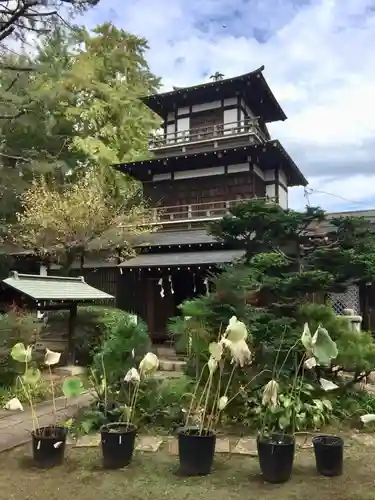観音寺（世田谷山観音寺）の本殿・本堂