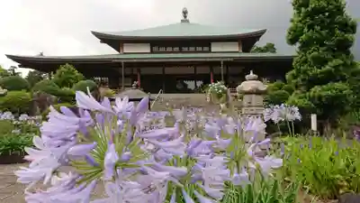 真言宗神道派大本山 宝珠院の本殿・本堂